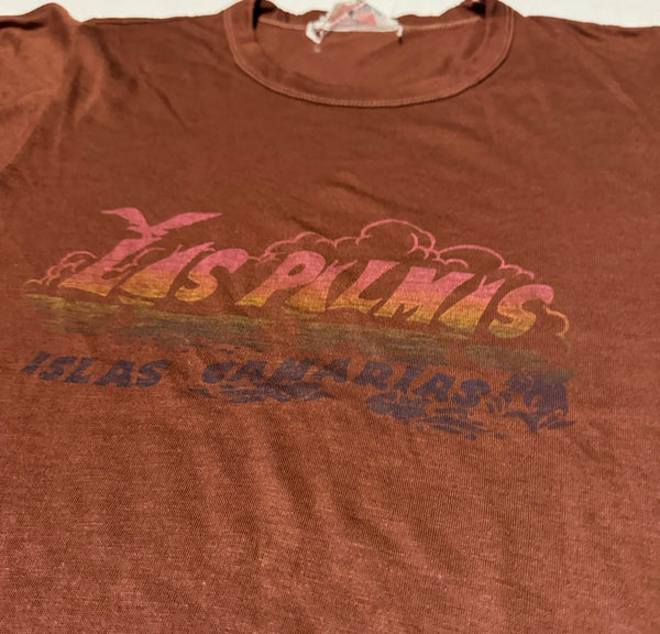 Vintage Brown Las Palms Ringer T-shirt (XS-S)