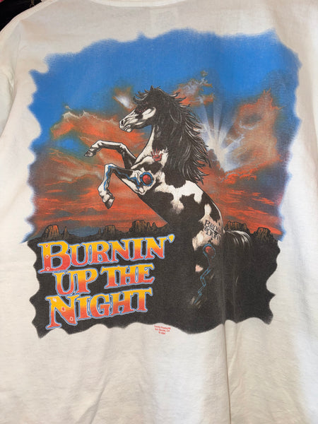 Vintage 1994 Brooks & Dunn T-shirt (L/XL)