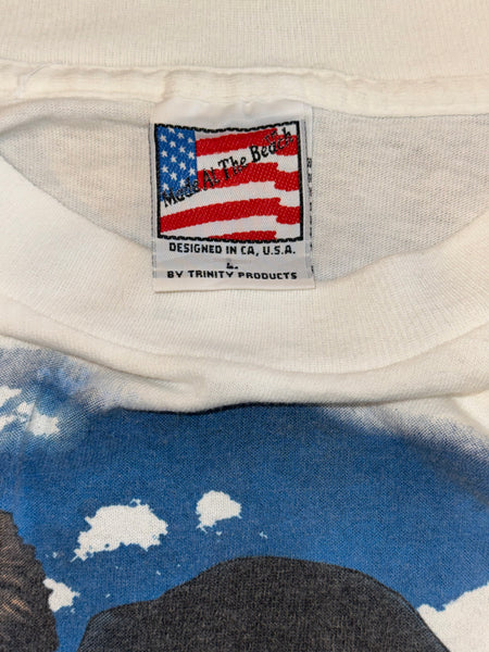 Vintage 1994 Brooks & Dunn T-shirt (L/XL)