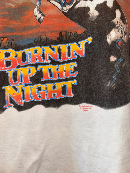 Vintage 1994 Brooks & Dunn T-shirt (L/XL)