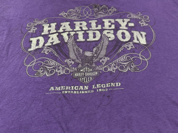 Vintage Harley Davidson Crop Baby Tee (S)
