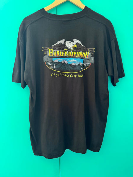Steer Skull Harley Davidson Vintage T-shirt (L-XL)